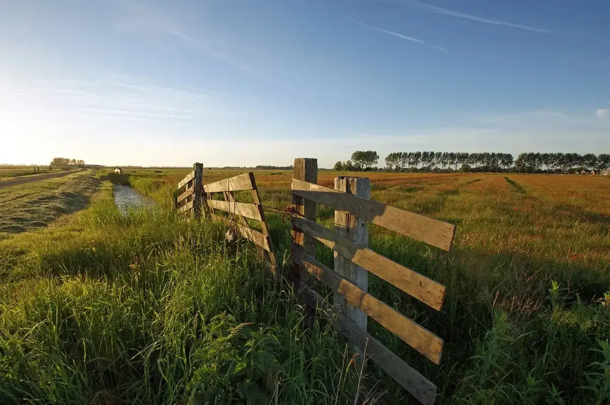 Paysage verdoyant de polders et nature &agrave; Waterland