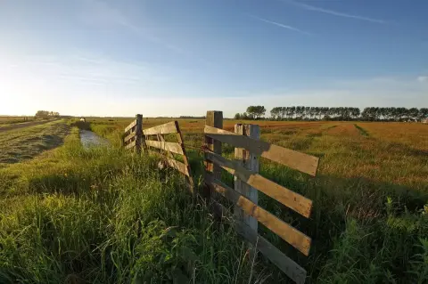 Paisaje verde de p&oacute;lderes y naturaleza en Waterland